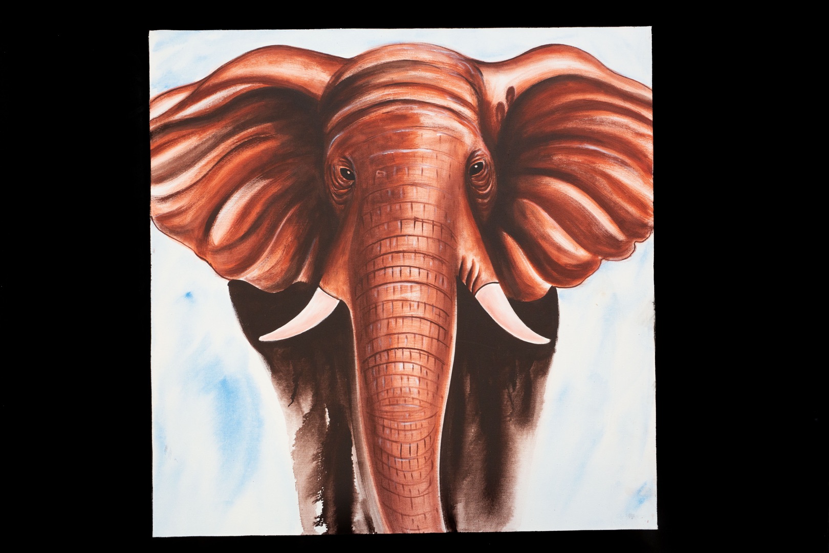 Obraz slon