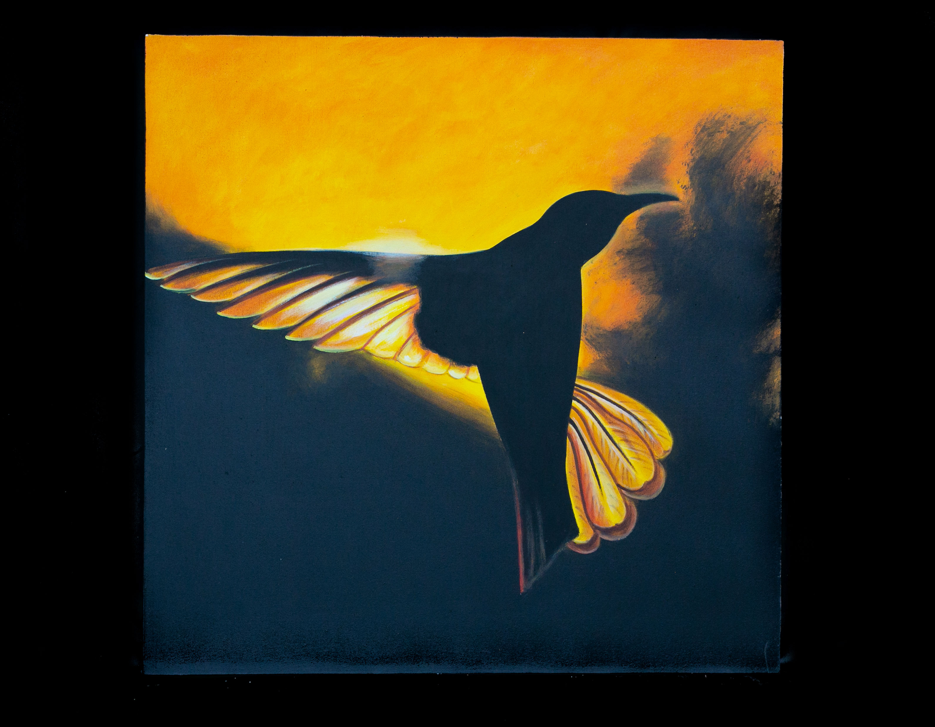 Obraz kolibřík