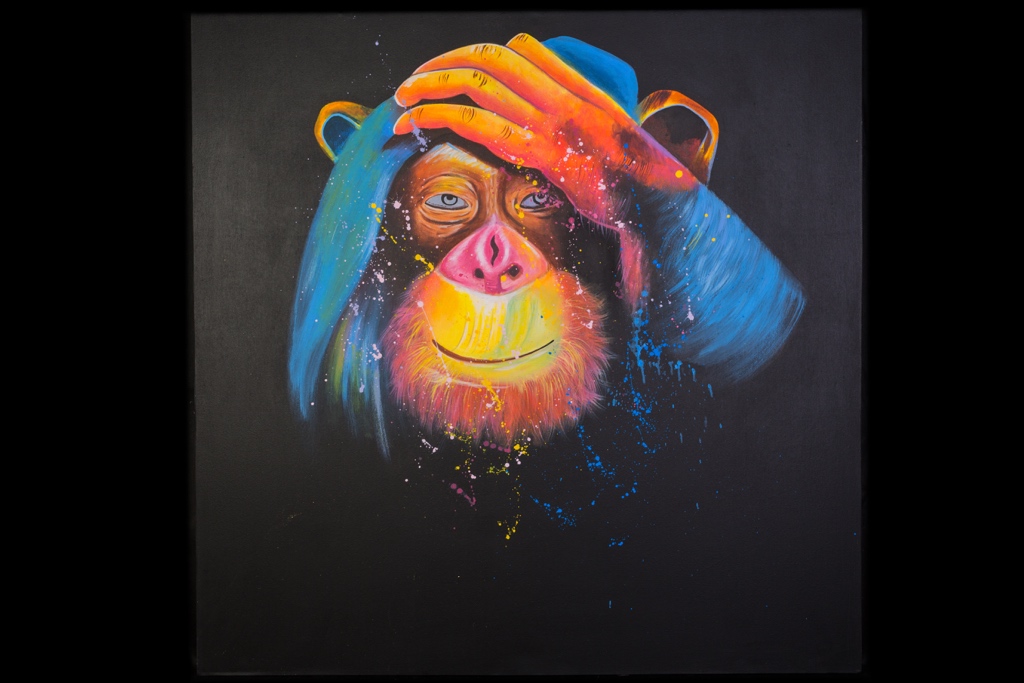 Opice - obraz na plátně