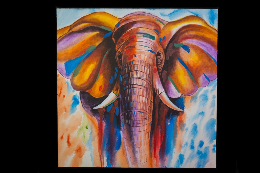 Slon - barevná malba