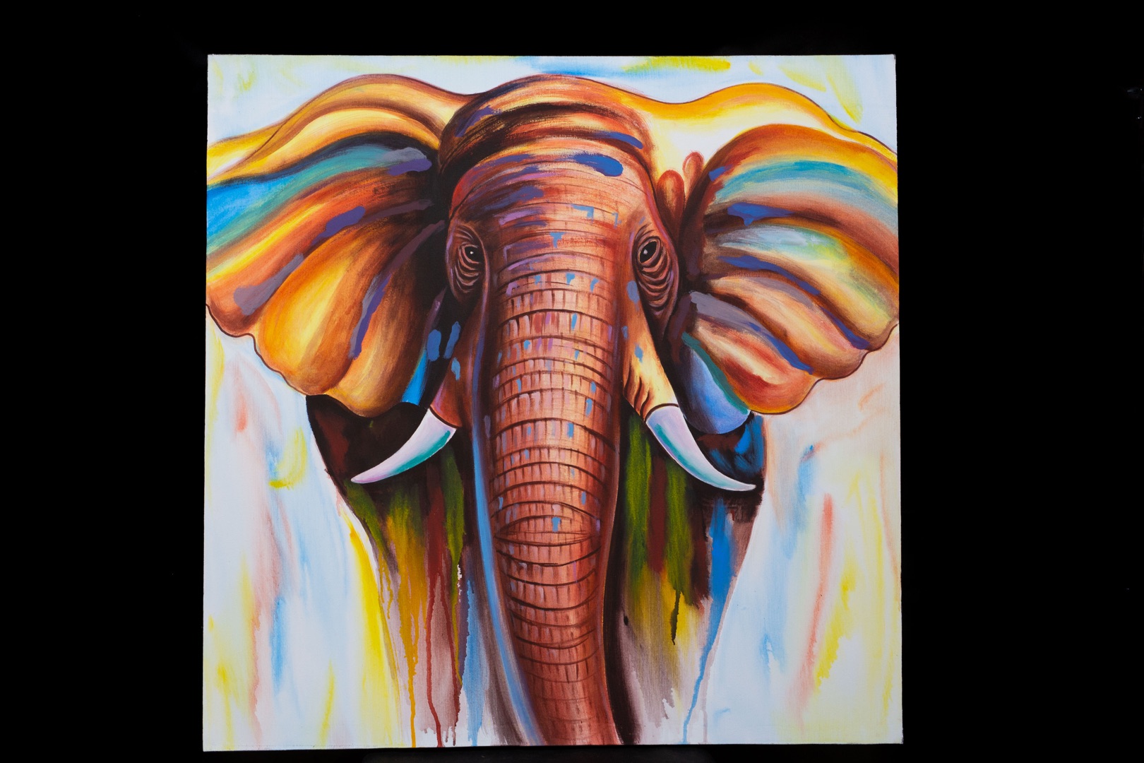 Obraz slon barevný