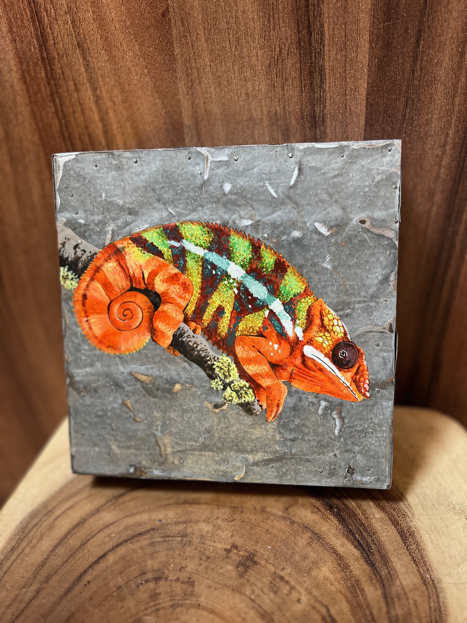 obraz plech chameleon