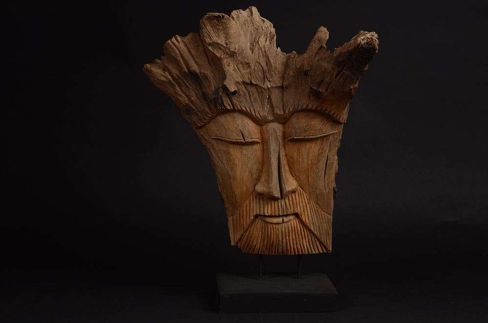 Hlava samorost socha