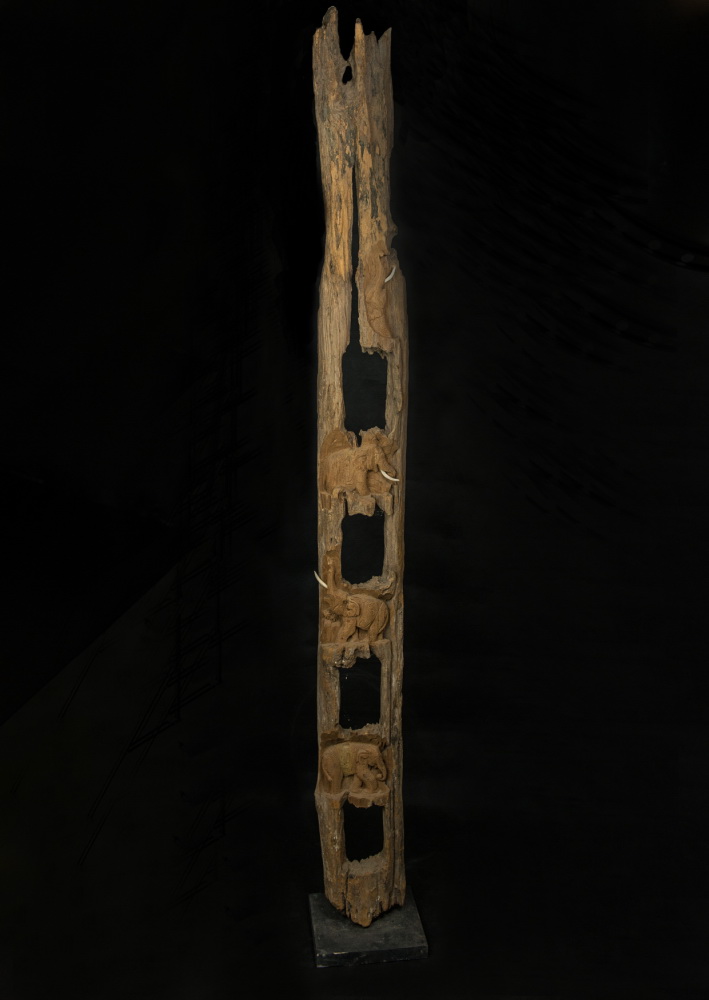 Stojící dřevo, sloni NENÍ SKLADEM