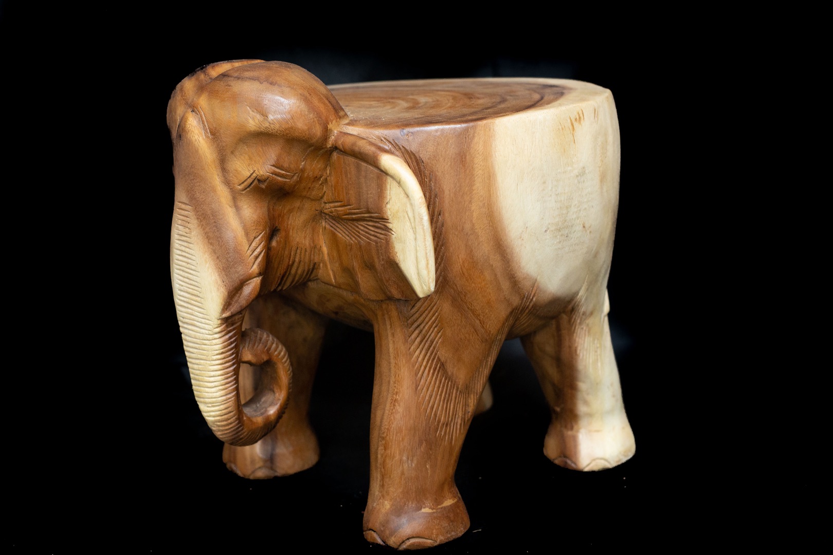 Stolička slon