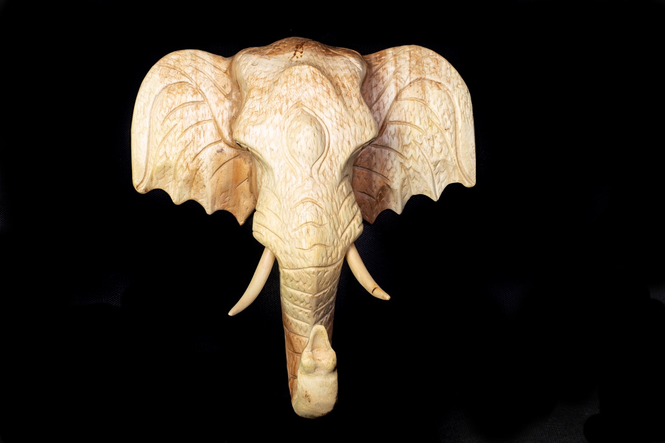 Nástěnná plastika sloní hlava