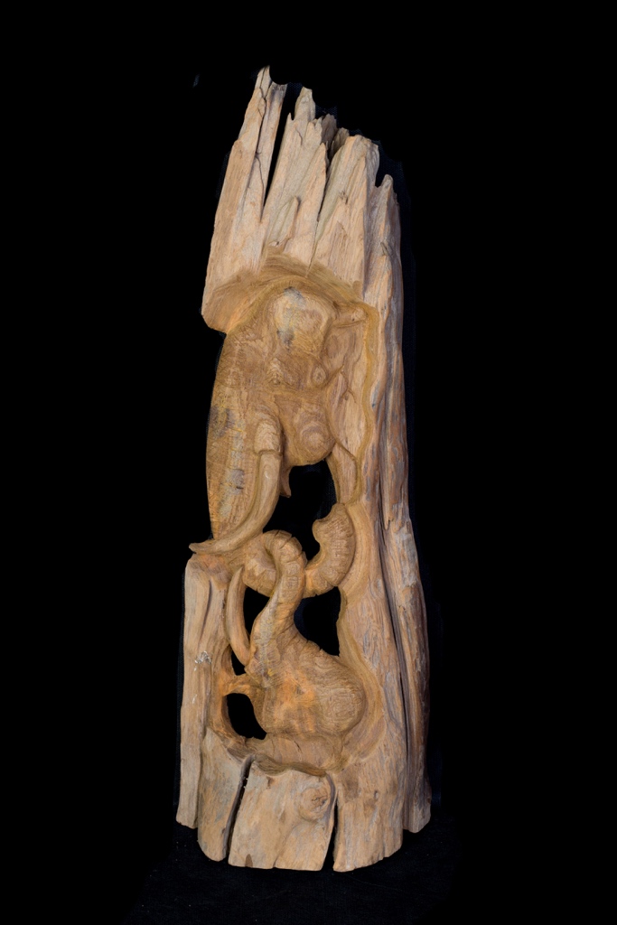 Sloni se zapletenými choboty