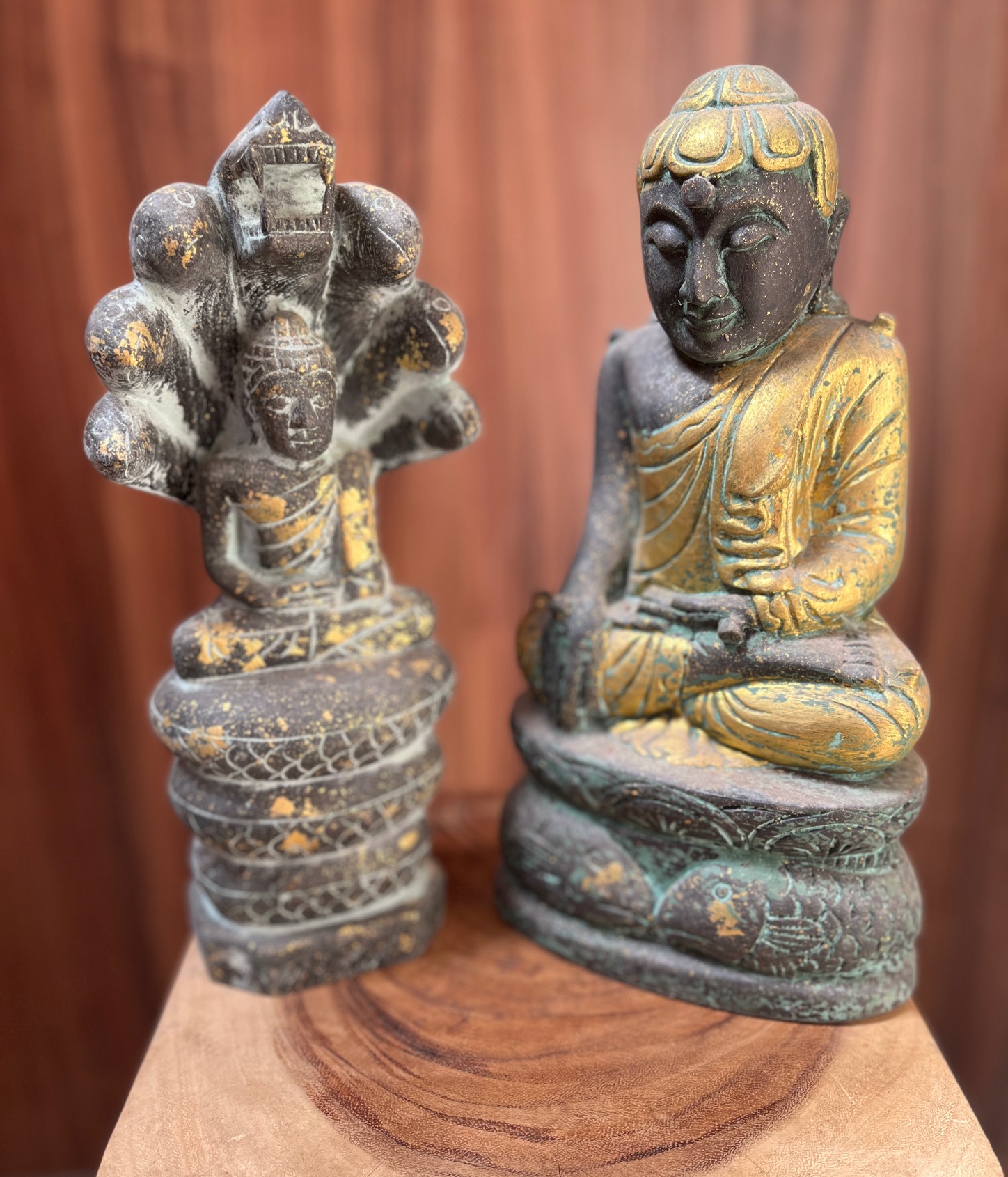 buddha sedící různé druhy